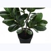 Gulches 28in Artificial Garcinia Tree in Black Pot Green 64 Real Touch Leaves Indoor Faux Floor Plant No Maintenance Decorative Greenery - 4 of 4