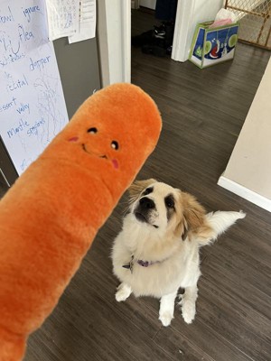 Worthy Dog Carrot Toy - Large