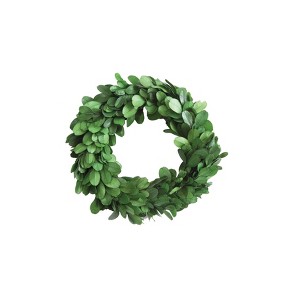 Storied Home Preserved Genuine Boxwood Wreath Green - 1 of 4