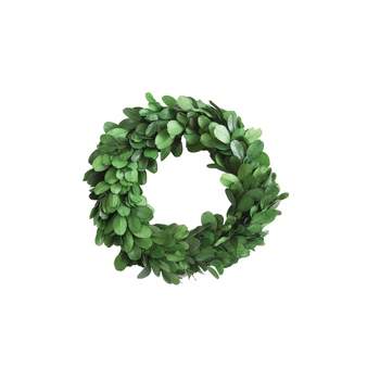 Storied Home Preserved Genuine Boxwood Wreath Green