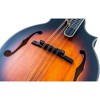 Washburn M3SEBRK F-Style Mandolin Brown Burst - 3 of 4