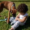Country Brook Petz Deluxe Just Ducky Dog Collar - Made in the U.S.A. (1 Inch, Extra Large) - 3 of 4