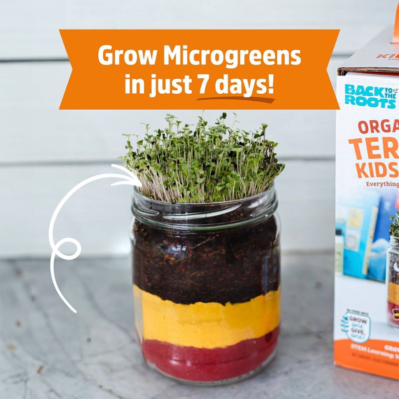 Back to the Roots Organic Terrarium Kids Grow Kit, 6 of 13