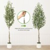 5FT/6FT/7FT Fake Olive Tree, Artificial Tree with Realistic Wood Trunk, Silk Leaves & Lifelike Olive Fruits in Decorative White Pot - 3 of 4