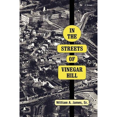 In The Streets Of Vinegar Hill - by  William A James (Paperback)