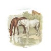 Girl's Lost Gods Retro Horses Portrait T-Shirt - 2 of 4