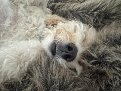 Guest review image 4 of 4, zoom in