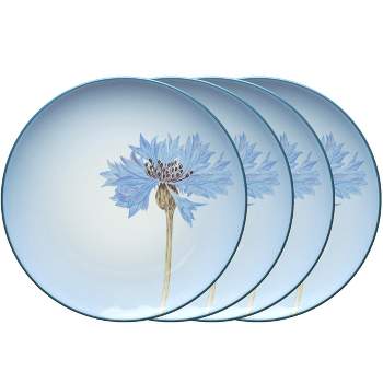 Noritake Colorwave Set of 4 Floral Accent Plates