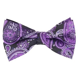Men's Paisley Color 2.75 W And 4.75 L Inch Pre-Tied adjustable Bow Ties - 1 of 3