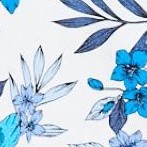 blue blossom