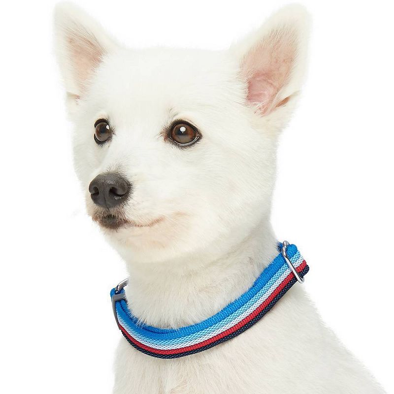 Blueberry Pet Stripe Adjustable Dog Collar, 5 of 6
