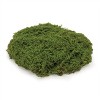 Faux Moss Pad (Set of 3) - 4 of 4