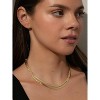 Uncommon James Double Layer Herringbone Chain Necklace - 2 of 4