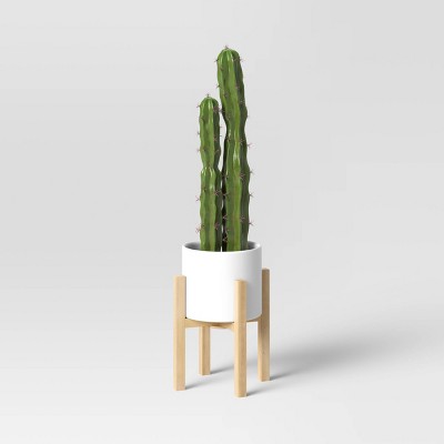 Image of Cactus in Ceramic Wood Pot - Threshold™