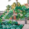 PartyWoo Balloons Dark Green Hunter Emerald Forest 18 Inch 20 pcs - 3 of 4