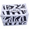 Aluminum Alloy Makeup Train Case Jewelry Organizer with Accordion Compartments for Travel and Professional Use - 4 of 4