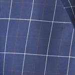 navy check