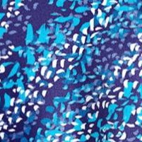 multi dot animal