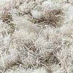 light silver, silver gray