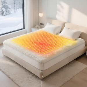 AENKYO Heated Mattress Pad Queen - 10 Heat Settings with Dual Control & Auto Shut-Off, Machine Washable Bed Warmer - 1 of 4