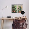 Stupell Industries Various House Plants, 10" x 15" - 3 of 4
