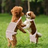 Unique Bargains Pet Diapers for Female Dog Period Underwear Washable with Adjustable Suspender - 3 of 4