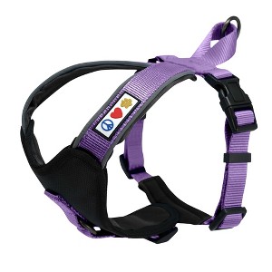 Pawtitas Padded Dog Harness Adjustable, Reflective, No-Pull Pet Harness  Secure & Comfortable Fit - 1 of 4