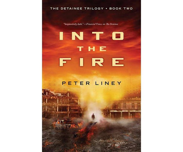 Into the Fire - (Detainee) by  Peter Liney (Paperback)