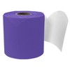 Carson Dellosa Education Rolled Scalloped Bulletin Board Border, Deep Purple, 65 Feet, Pack of 3 - 2 of 4