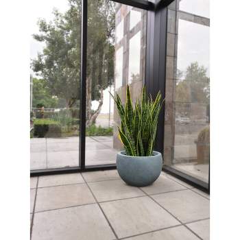 Rosemead Home & Garden, Inc. 13" Lightweight Concrete/Fiberglass Elegant Bowl Indoor/Outdoor Planter Slate