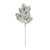 Artificial Magnolia Leaf Spray Frosted Seasonal Stem 32.5 inch – Set of 6 by Melrose - 3 of 3
