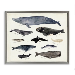 Stupell Industries Vintage Nautical Chart of Whales Ocean Life Floating Frame Canvas Art - 1 of 4