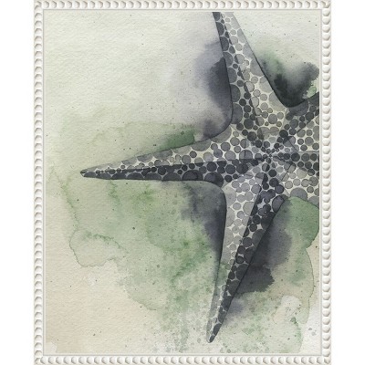 Amanti Art Found Starfish II by Grace Popp Canvas Wall Art Print Framed 16 x 20