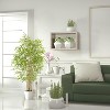 Artificial Bamboo Tree 4FT Tall, Fake Tree with Natural Trunk and Realistic Leaves Design, Maintenance Free, Artificial Fake Bamboo Plants Indoor - 3 of 4