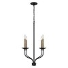 Capital Lighting Wilder 4 - Light Chandelier in  Matte Black - 2 of 4
