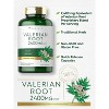 Carlyle Valerian Root 2400mg | 240 Capsules - 4 of 4