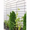 Gardeners Supply Company Jardin Flower Trellis | Sturdy Tall Garden Trellis for Climbing Plants, Clematis & Other Vine Flowers | Easy to Install - image 3 of 4