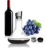 LEMONSODA Glass Wine Decanter Complete With Aerator, Filter, and Cleaning Kit -- 50oz - 3 of 4