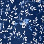 evening blue ivory
