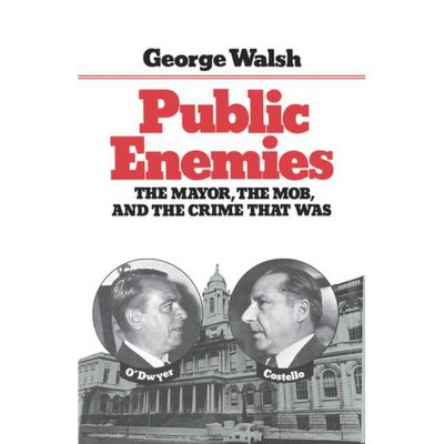 Public Enemies - by  George Walsh (Paperback)