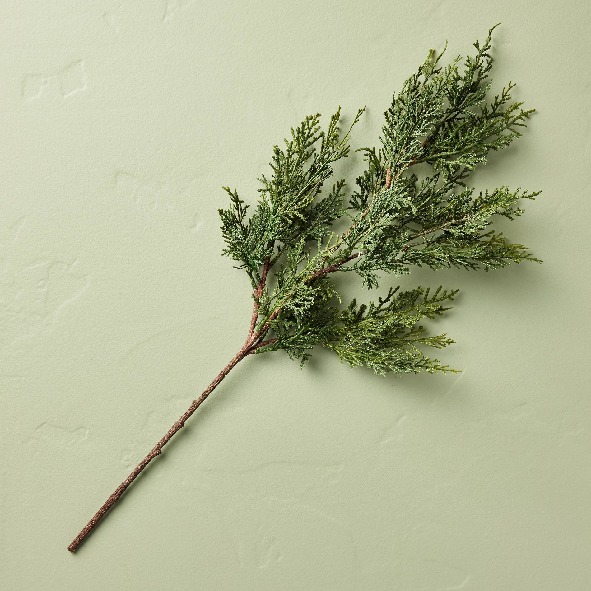 Cedar Stem - Hearth & Hand™ with Magnolia