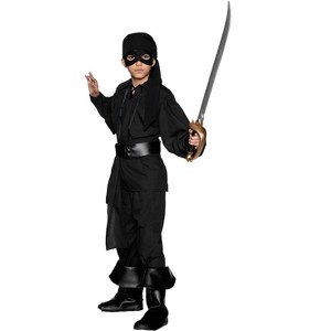 The Princess Bride Westley Boys' Costume - 1 of 1