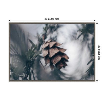 Nathan Larson Pinecone Macro Canvas Print in Gray Frame