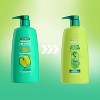 Garnier Fructis Grow Strong Active Fruit Protein Fortifying Shampoo - image 3 of 4