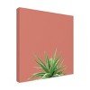 "Succulent Simplicity I Coral" Outdoor Canvas - 2 of 4