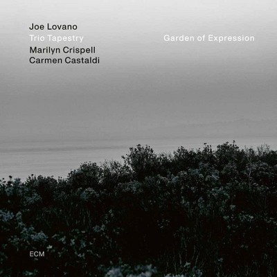 Joe Lovano/Marilyn Crispell/Carmen Castaldi - Garden Of Expression (CD)