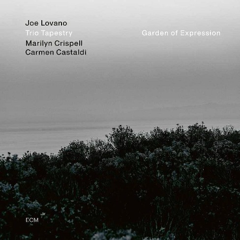 Joe Lovano/Marilyn Crispell/Carmen Castaldi - Garden Of Expression (CD) - image 1 of 1