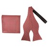 Men's Checkered 2.75" x 4.75" Adjustable 16" - 20" Freestyle Self Tie with Hankie Set - 2 of 4