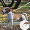 Bellura Pet - Leather Checkered Pet Harness - White - 3 of 4