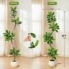 Garvee Fiddle Leaf Fig Tree Artificial Indoor, Faux Rubber Tree with Sphere Planter, Tall Artificial Plants with Moss for Home Decor Office - 4 of 4